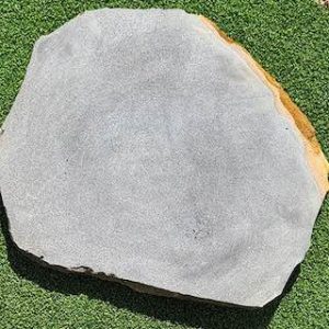 Bluestone-Stepping-Stone