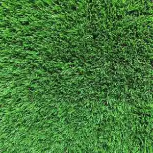 Synthetic Grass - Premium